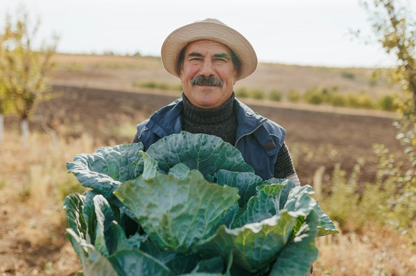 Choisir la meilleure agence pour organiser votre événement idéal